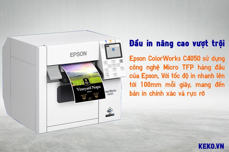 EPSON COLORWORKS C4050 ĐẦU IN