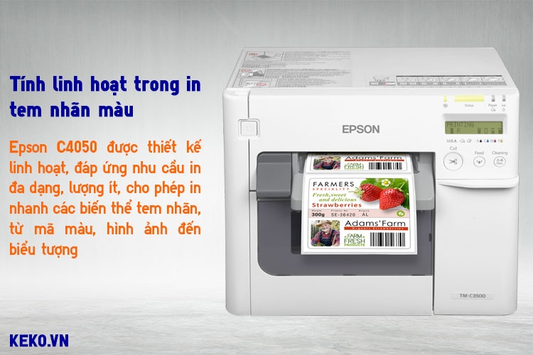  EPSON COLORWORKS C4050 MÀU IN